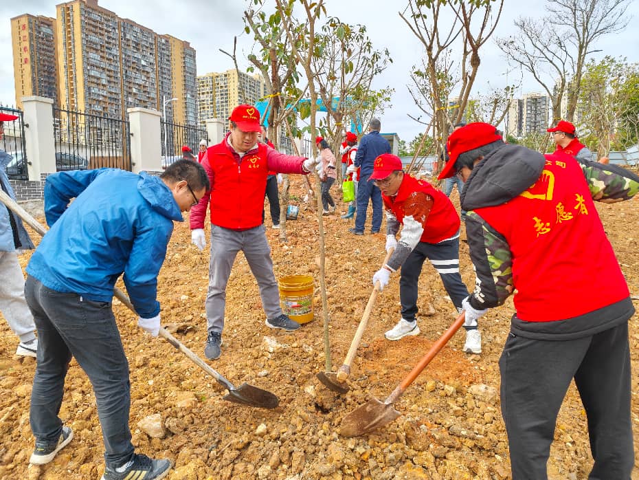 图片8.jpg